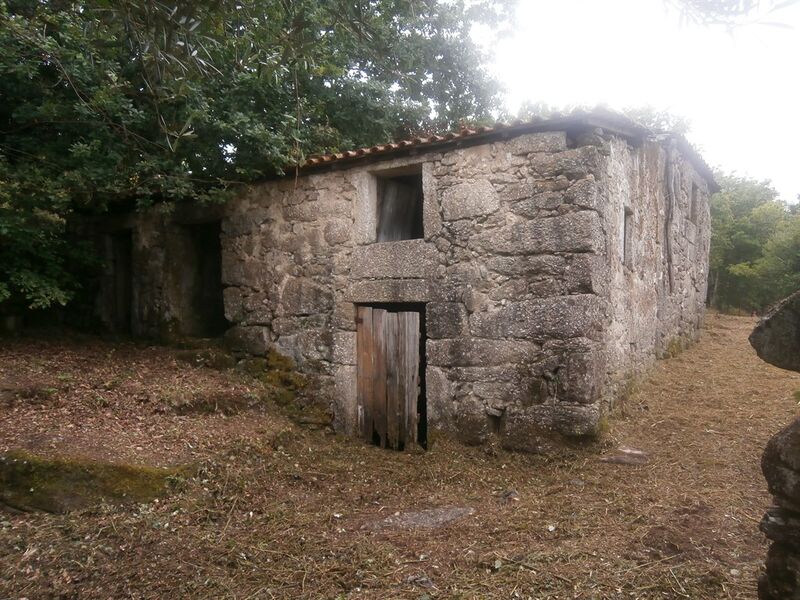 Small farm 3 bedrooms Rio Cavado Póvoa de Lanhoso - good access