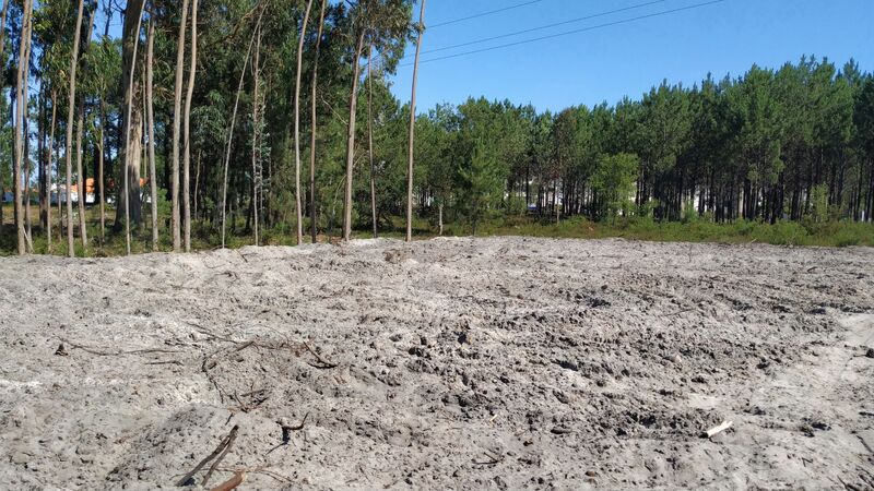 Terreno plano Alcobaça