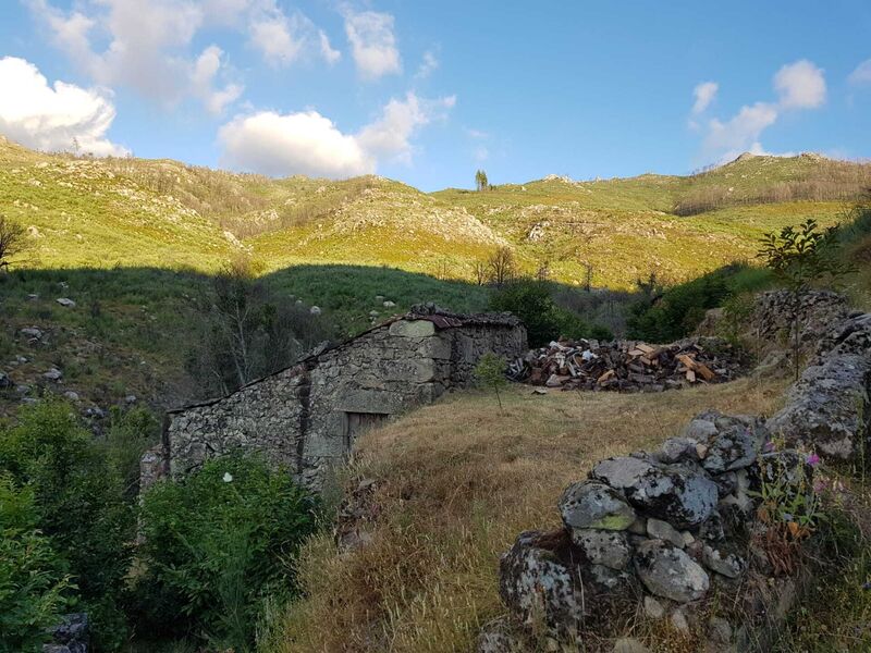 Chácara/Sítio/Fazenda V2 Folgosinho Gouveia - água