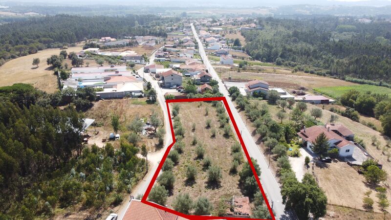 Land with 2680sqm Anobra Condeixa-a-Nova