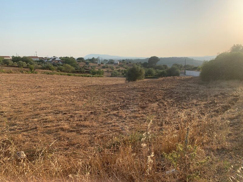 Land with 9600sqm Rio Maior