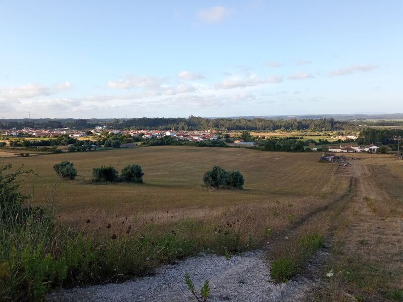 Terreno Agrícola com 7652.84m2 Maiorca Figueira da Foz - viabilidade de construção