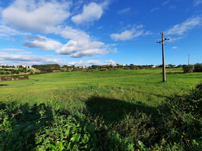 Land Urban with 5000sqm Grainho Santarém - easy access