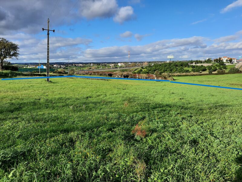 Terreno Urbano com 10000m2 Grainho Santarém - bons acessos