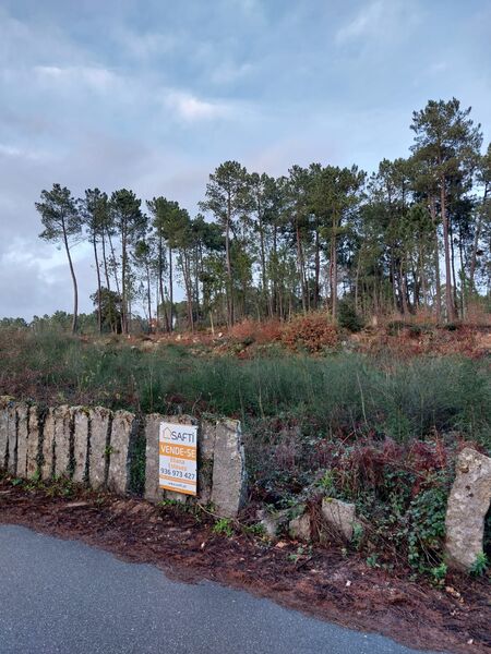 Terreno com 1900m2 Pinheiros Monção - bons acessos, electricidade, água