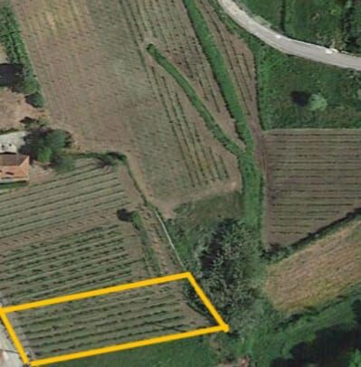 Land with 1450sqm Monção