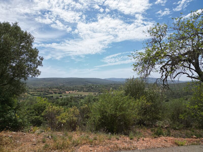 Lote com 2700m2 Loulé - laranjeiras