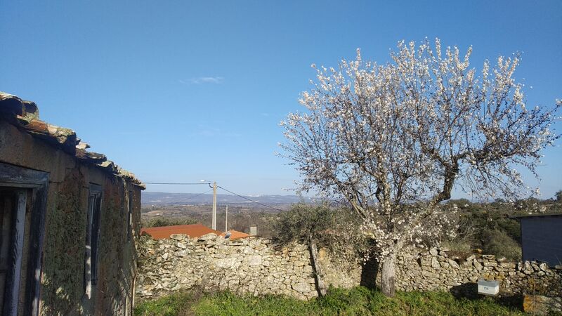 Farm V8 Vale do Côa Pinhel - water, fruit trees, water hole