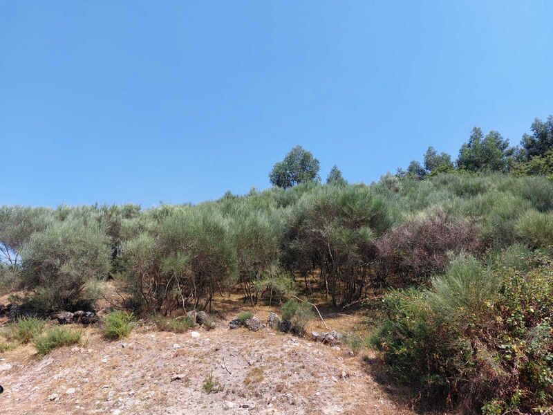 Land with 1740sqm Arcos de Valdevez