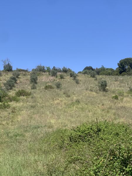 Terreno Agrícola com 5440m2 para venda Rio Maior