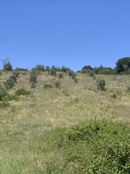 Land with 5440sqm Rio Maior