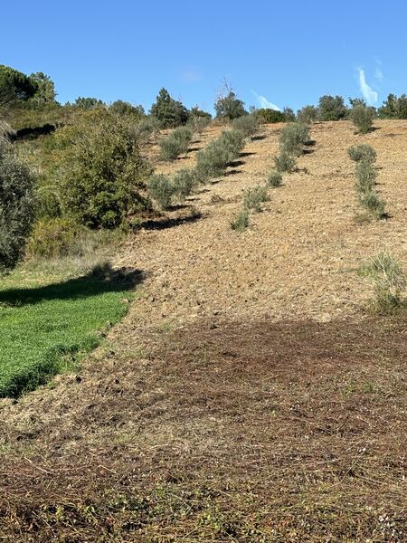 Land with 5440sqm Rio Maior