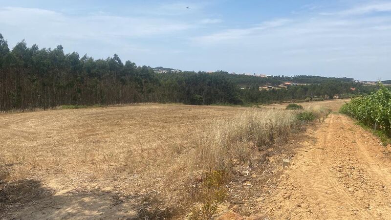 Terreno Agrícola Paúl São Pedro e Santiago Torres Vedras