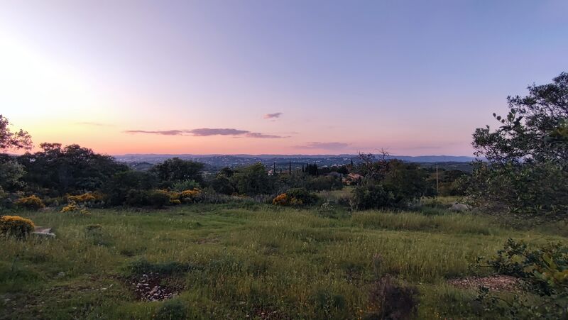 Terreno Rústico com 2480m2 Murta Faro