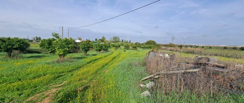 Land Rustic flat São Miguel de Machede Évora - irrigated land, fruit trees, water, electricity