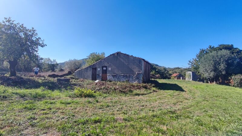 Terreno T2 Urbano plano Maçãs de Dona Maria Alvaiázere