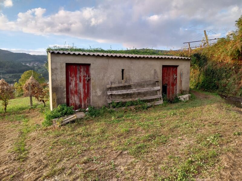 Terreno Agrícola plano Riba de Mouro Monção - luz, regadio, água