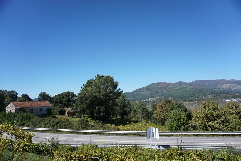 Quinta Penso Melgaço - luz, árvores de fruto, água