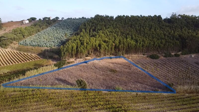 Land Agricultural with 5625sqm Mafra