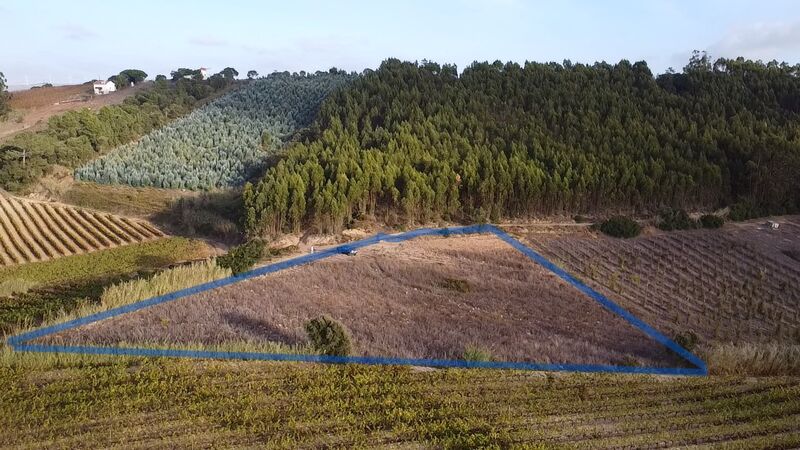 Land with 5625sqm Mafra