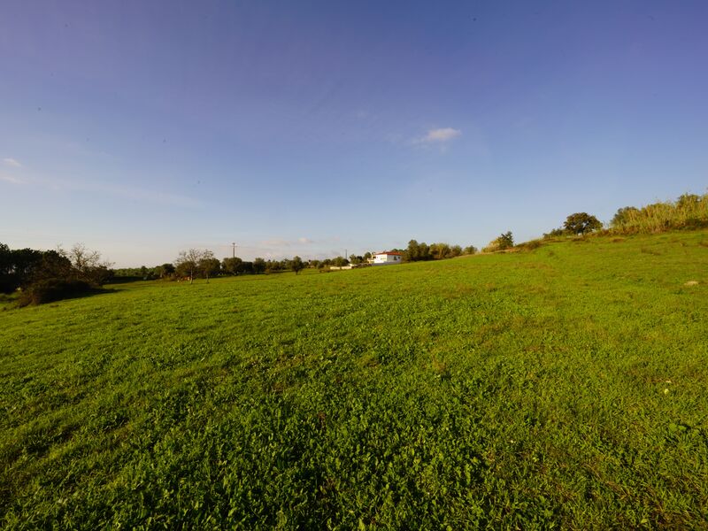 Land with 9000sqm Marrazes Leiria - water, construction viability, electricity, very quiet area