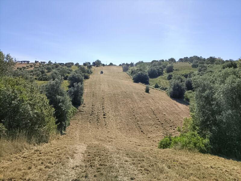 Land Moçarria Santarém