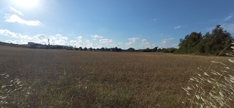 Terreno Urbano plano Maiorca Figueira da Foz - viabilidade de construção, bons acessos