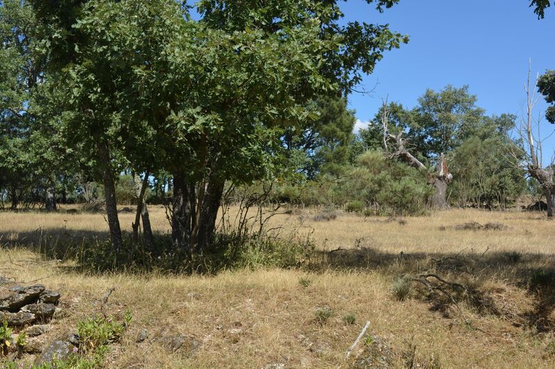 Terreno Rústico com 4940m2 Casal de Cinza Guarda - água, poço