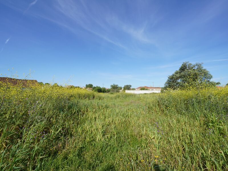 Land with 8765sqm Benedita Alcobaça - water, electricity