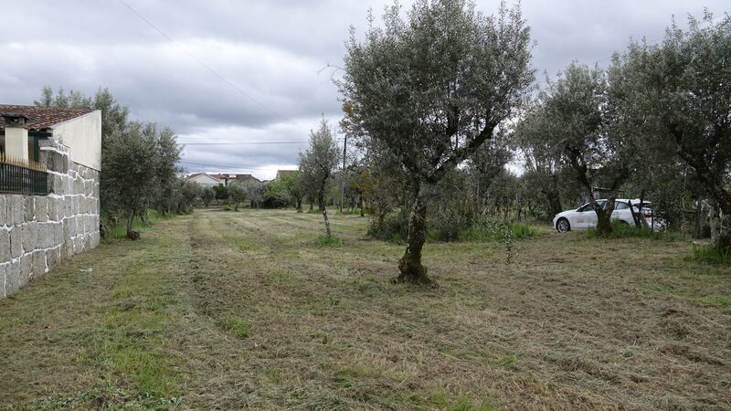 Small farm 3 bedrooms to recover Lapa do Lobo Nelas - water, tank, olive trees, well