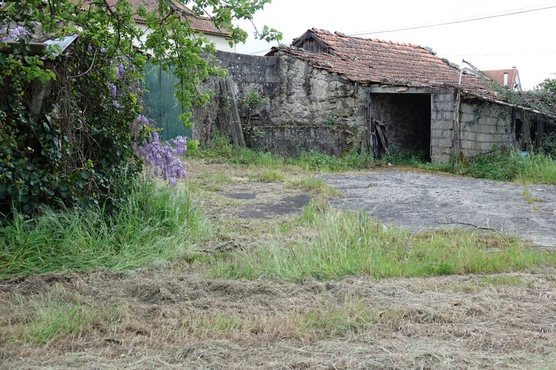 Quintinha V3 para recuperar Lapa do Lobo Nelas - água, tanque, oliveiras, poço