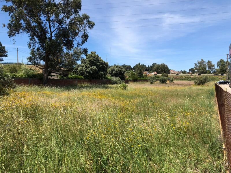 Terreno Urbano com 2970m2 Nossa Senhora de Fátima Entroncamento - árvores de fruto