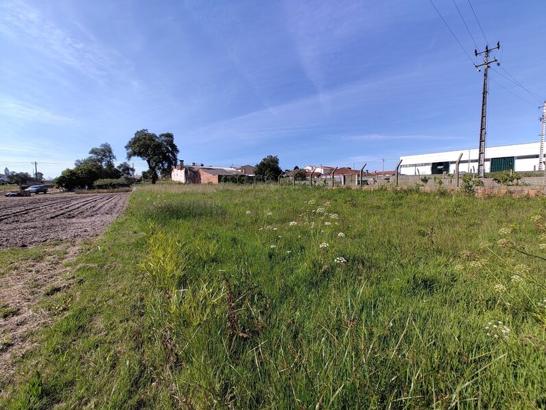 Terreno plano Maceira Leiria - água