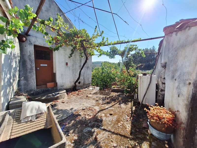 Small farm V4 to recover Cardigos Mação - well, water hole, fruit trees, water