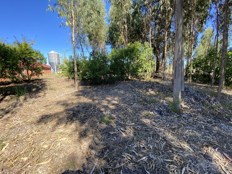 Plot of land Rustic with 4230sqm Lajeosa do Dão Tondela