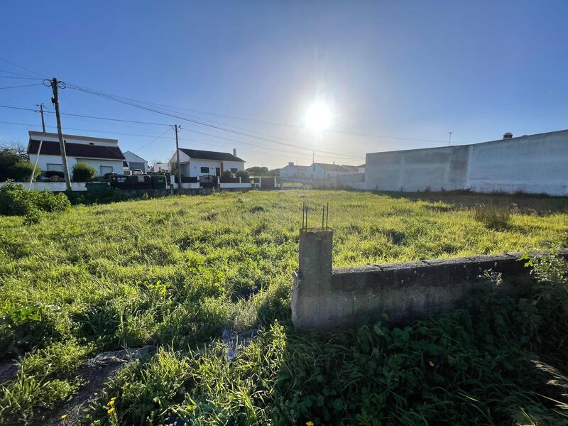 Land Urban for construction Torres Novas