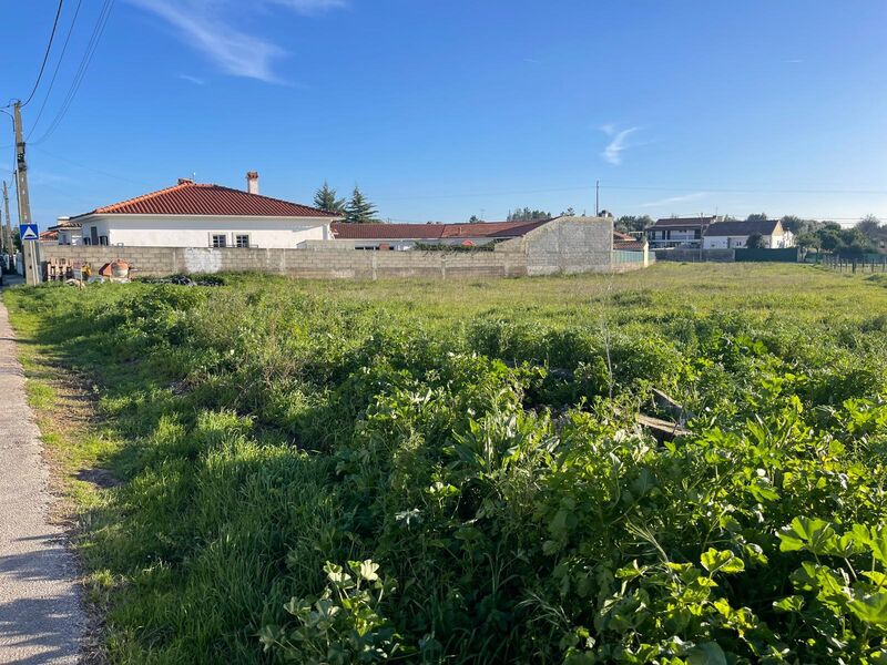 Land Urban for construction Torres Novas