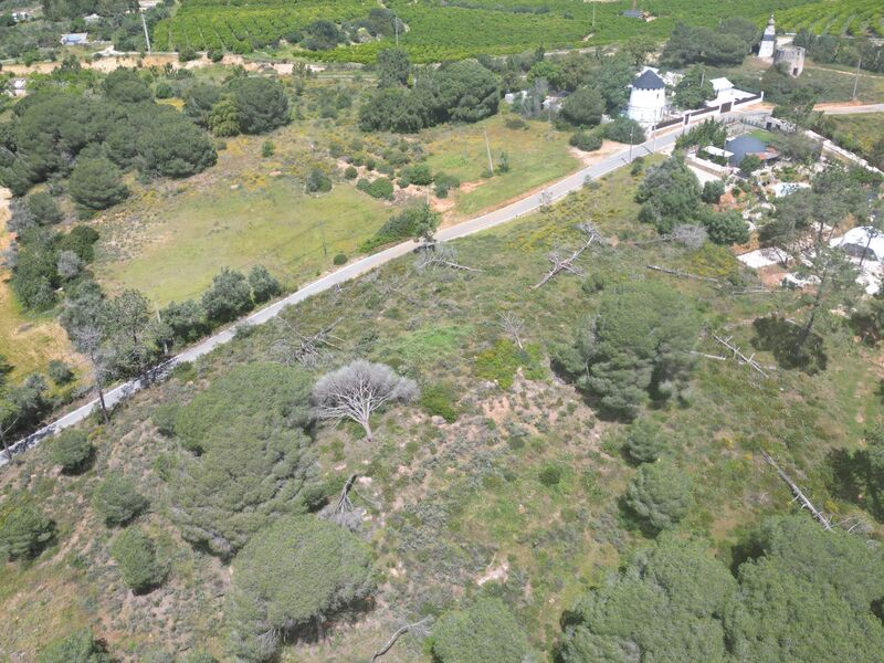 Land Rustic with 13000sqm Porches Lagoa (Algarve) - electricity, water