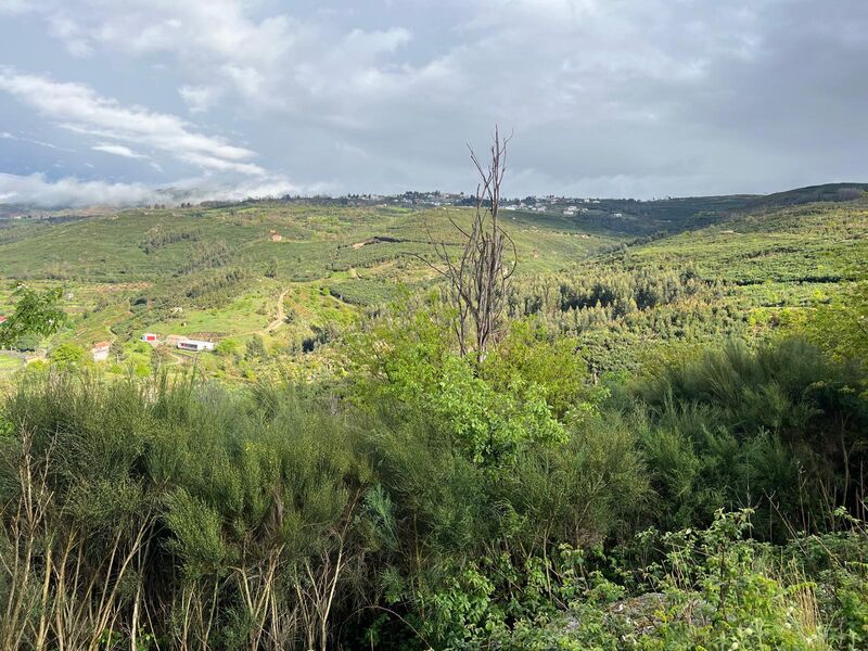 Terreno Rústico com 31200m2 Gouveia - água, poço