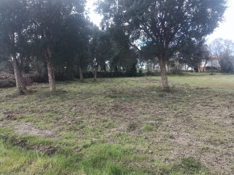 Land with 545sqm Leiria - construction viability