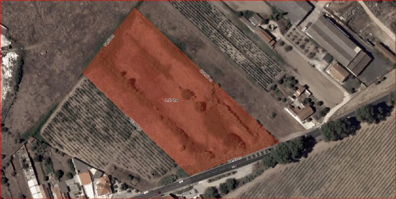 Land with 16778sqm Alpiarça - electricity, well, water