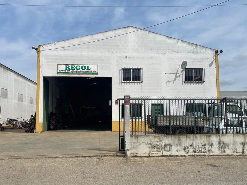 Office Industrial with 453sqm Golegã - easy access