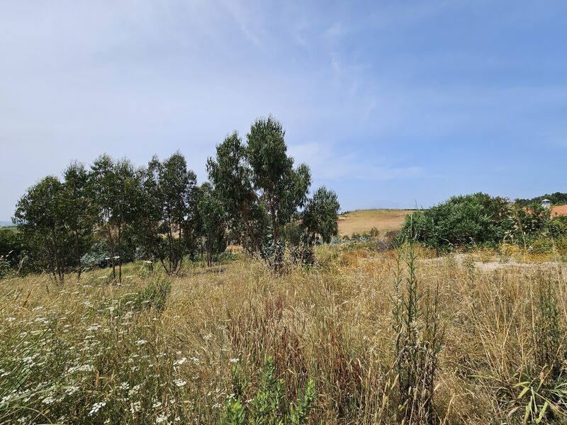 Land Urban for construction Ponte do Rol Torres Vedras - easy access, electricity, water