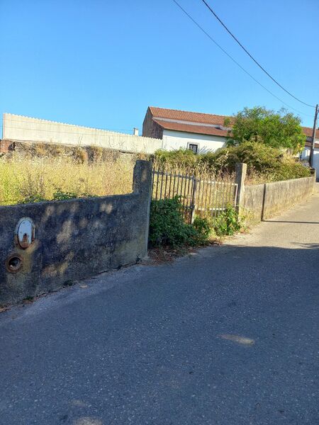 Land with 960sqm Torres Novas - fruit trees, electricity, water