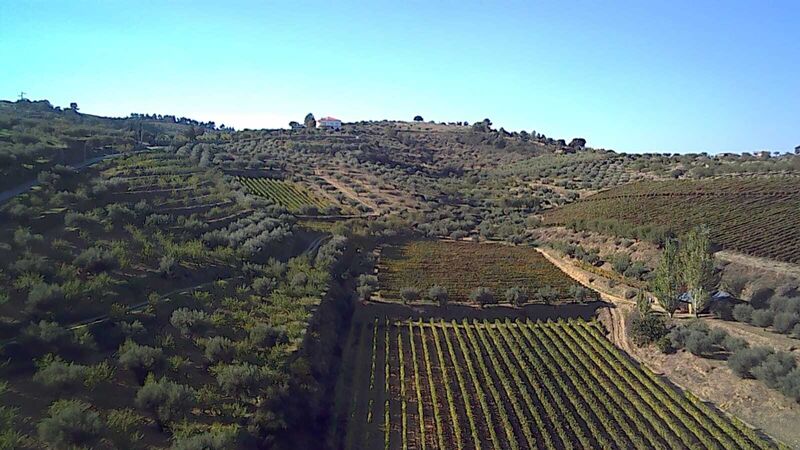 Terreno Agrícola com 148323m2 Cedovim Vila Nova de Foz Côa - excelentes acessos, poço, água