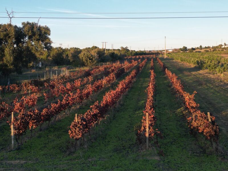 Land flat Algoz Silves