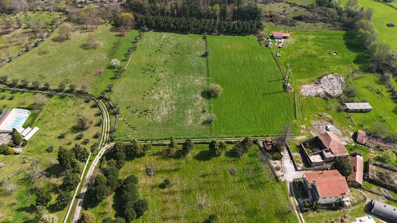 Quinta V3 para recuperar Seia - olivos, pozo