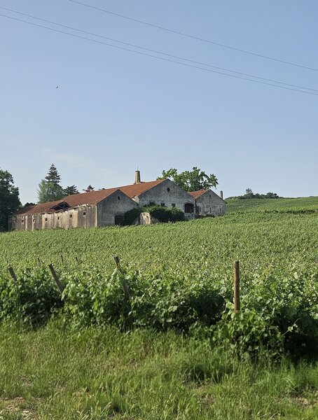Quinta Aldeia Gavinha Aldeia Galega da Merceana Alenquer - água da rede, poço, água, excelentes acessos