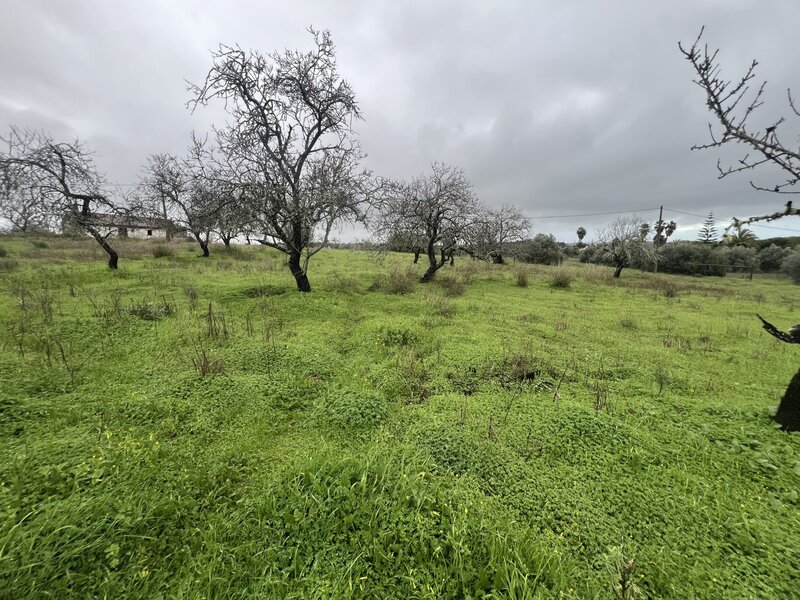 Terreno Misto com projeto aprovado Lagoa (Algarve)