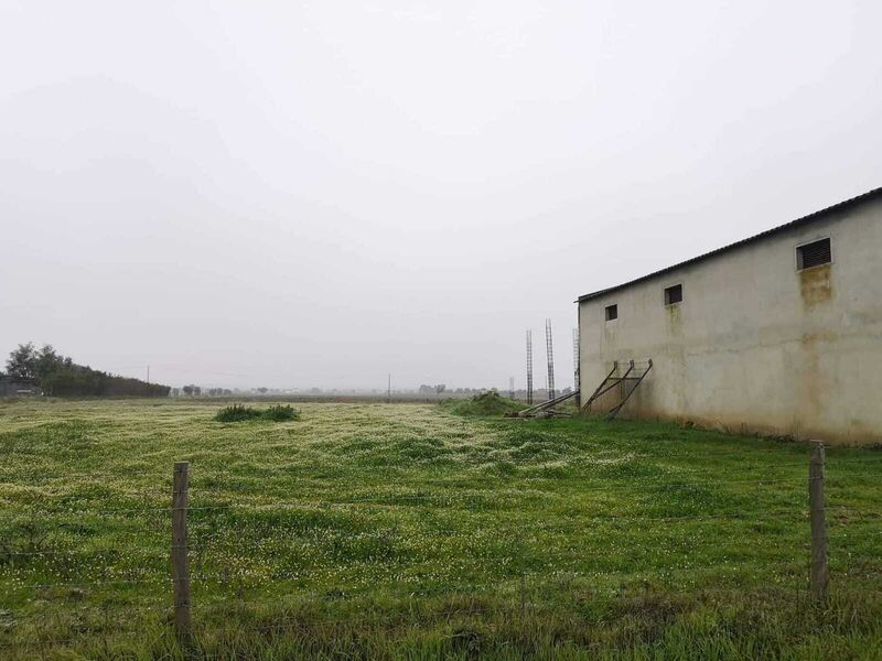 Terreno Misto com 33000m2 Ferreira do Alentejo